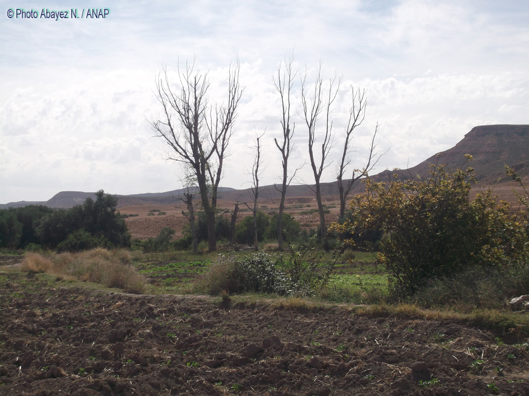 Rando guafait : Photos Abayez 01