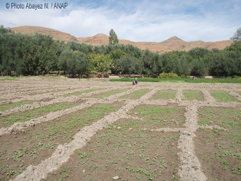 Rando guafait : Photos Abayez 02