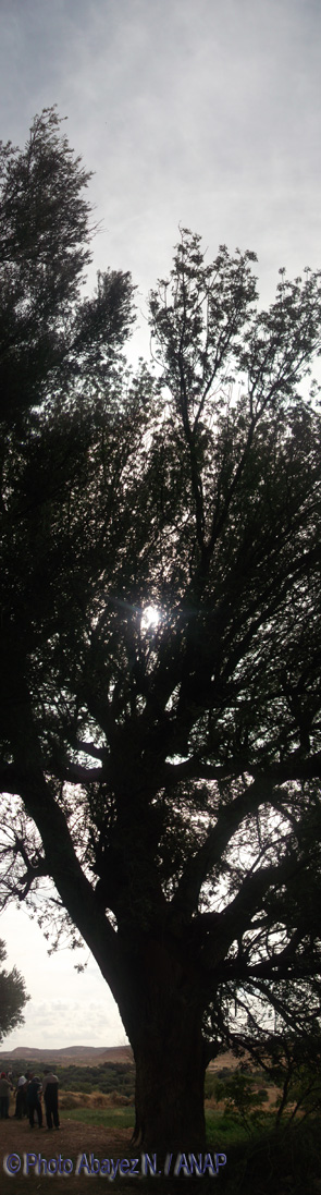 Rando guafait : Photos Abayez 06