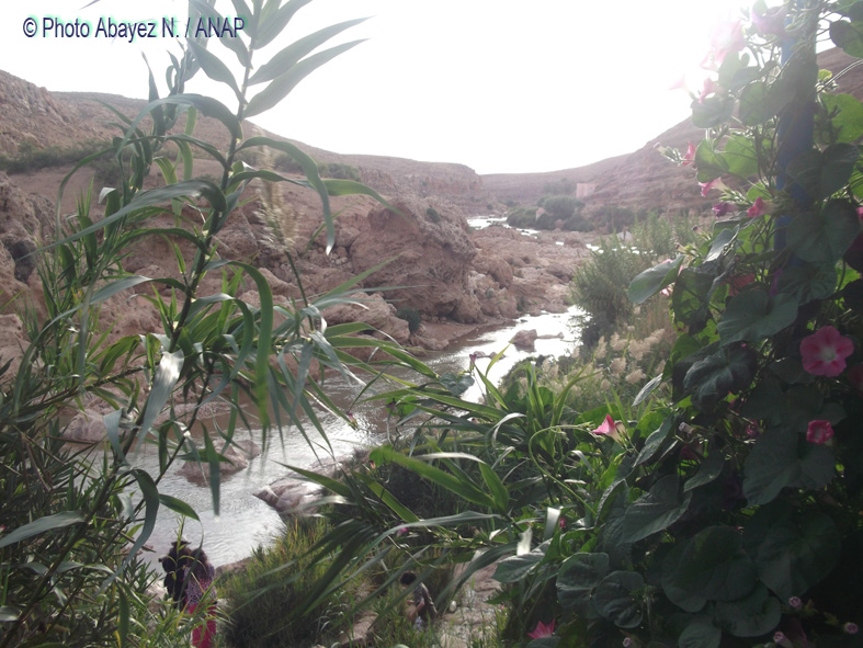 Rando guafait : Photos Abayez 16