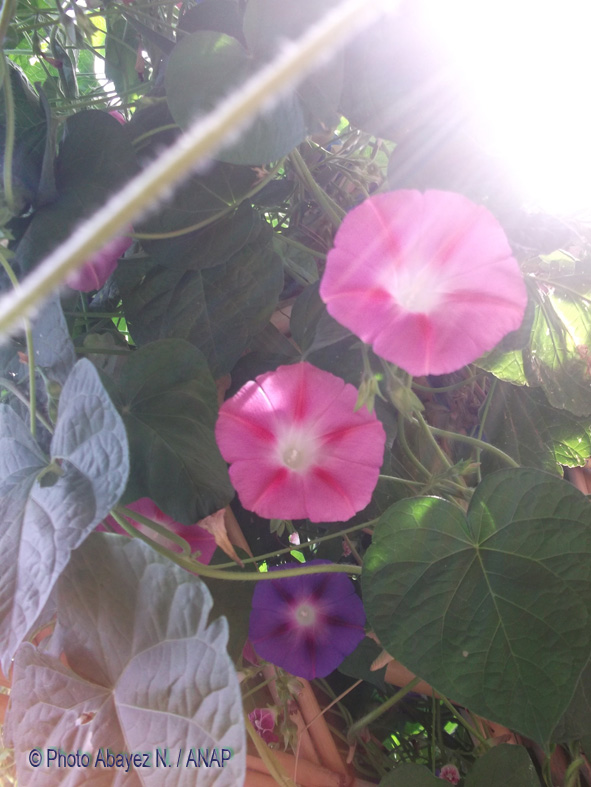 Rando guafait : Photos Abayez 17