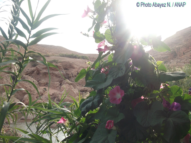 Rando guafait : Photos Abayez 18