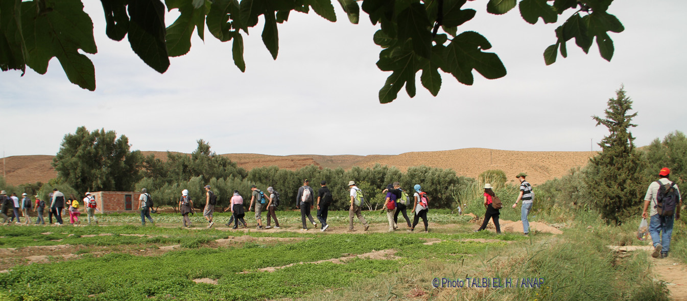 Rando � travers les champs