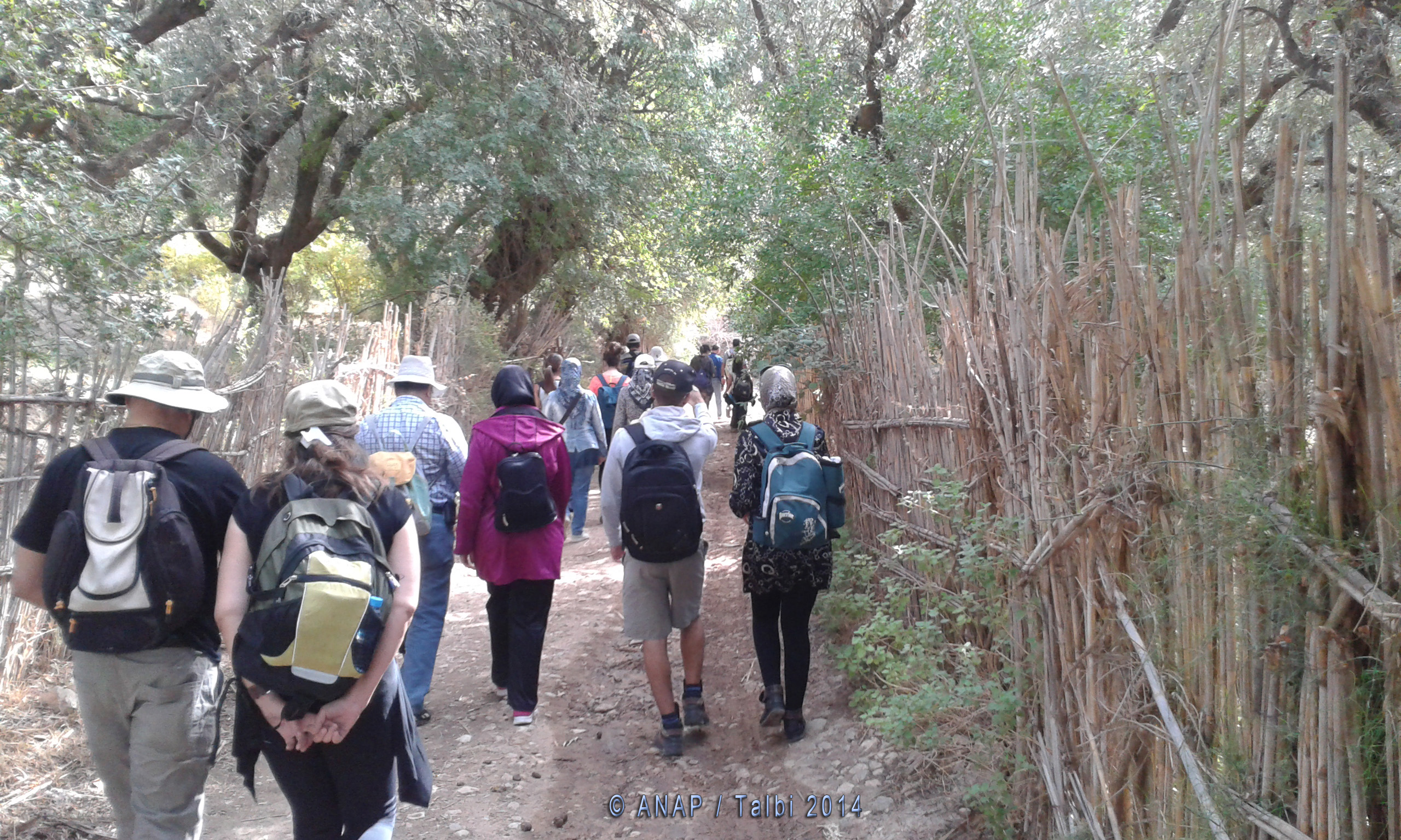 Passage ombrag�s  de Gafait