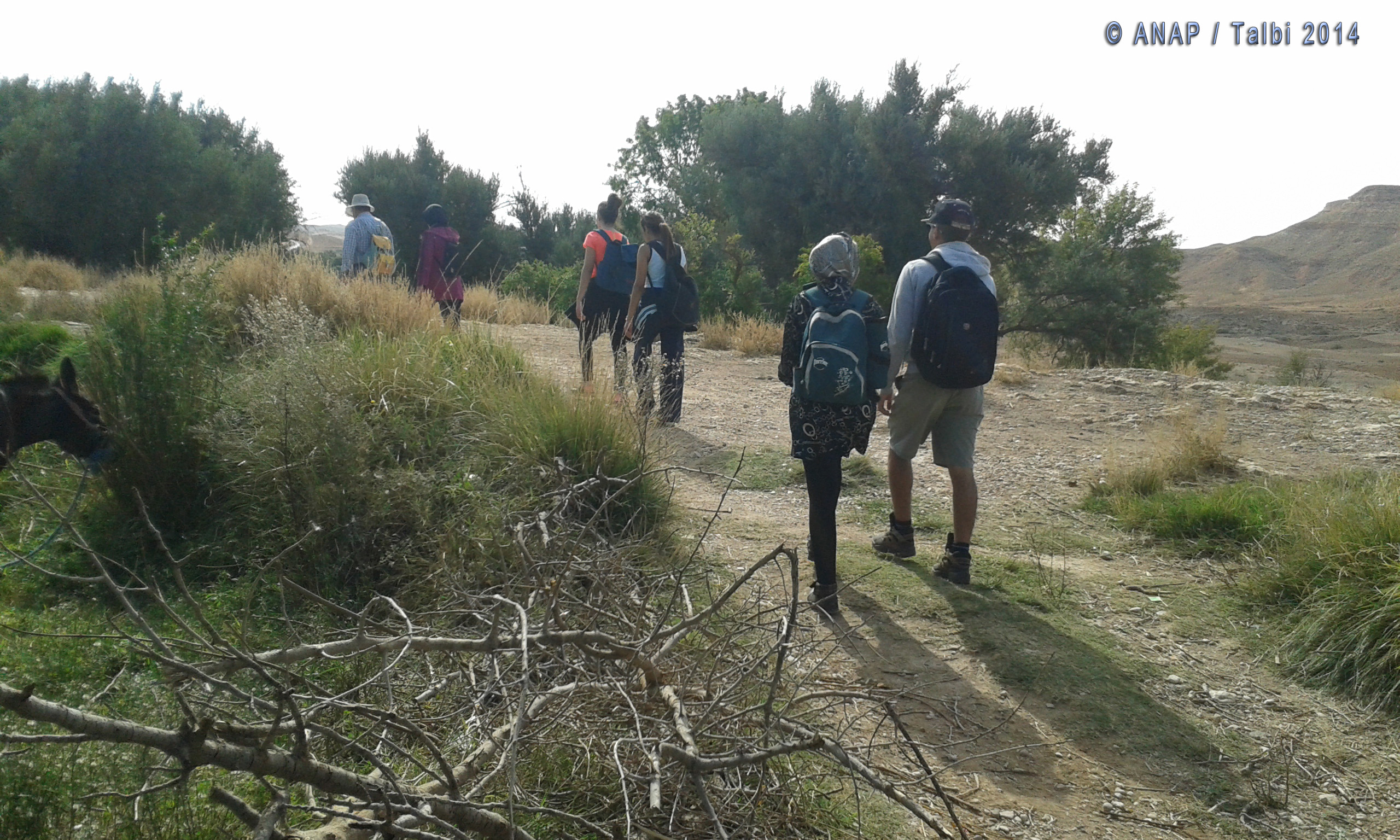 Gafait c�t� oued