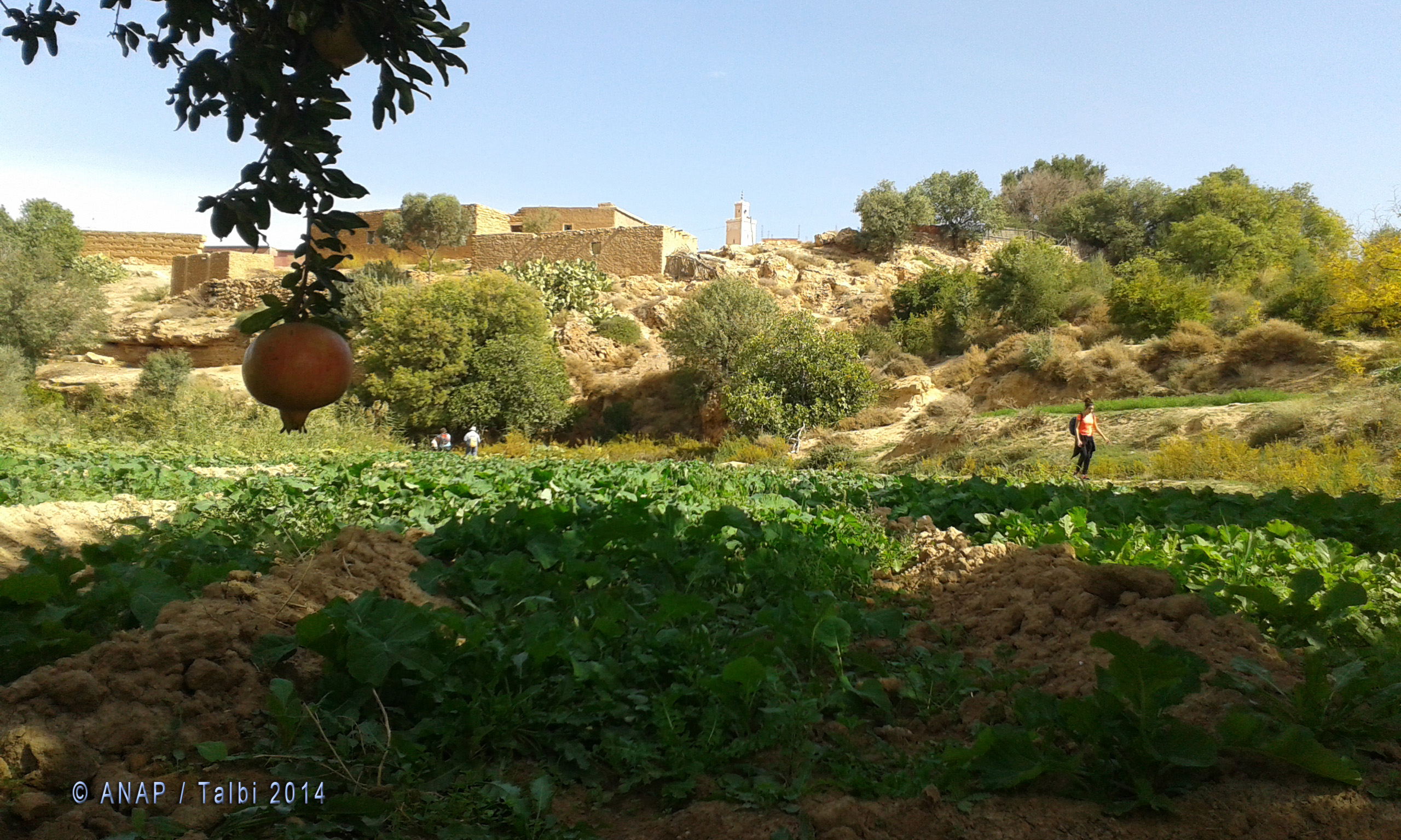 A travers les jardins de Gafait