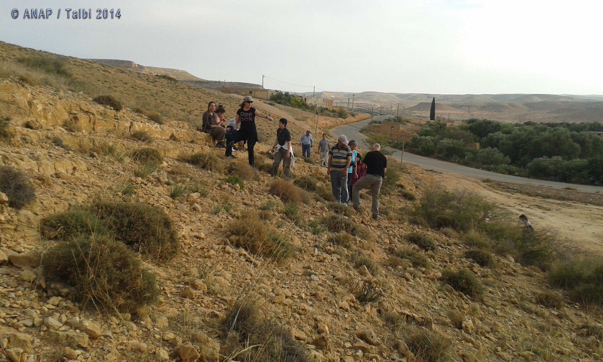 Pause de CST : les fossiles de Gafait