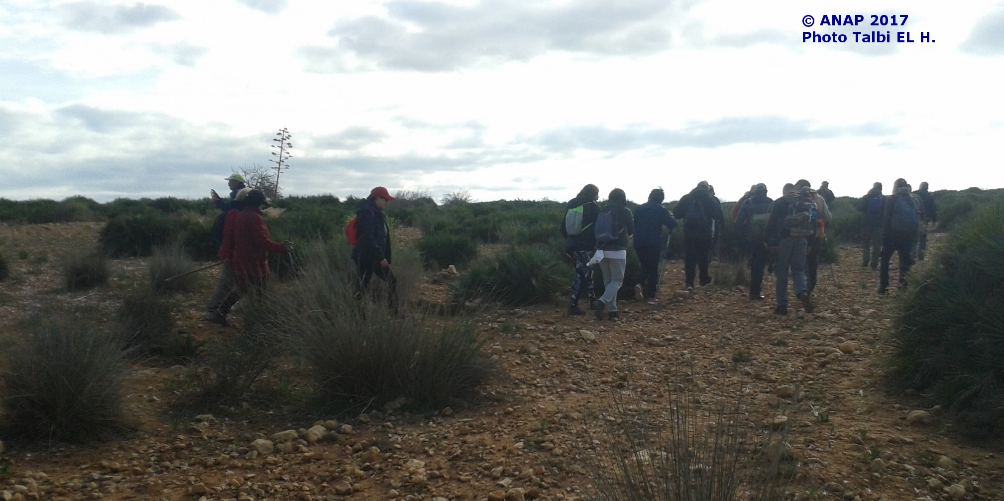 Vers les champs cultiv�s d'Oulad Mansour