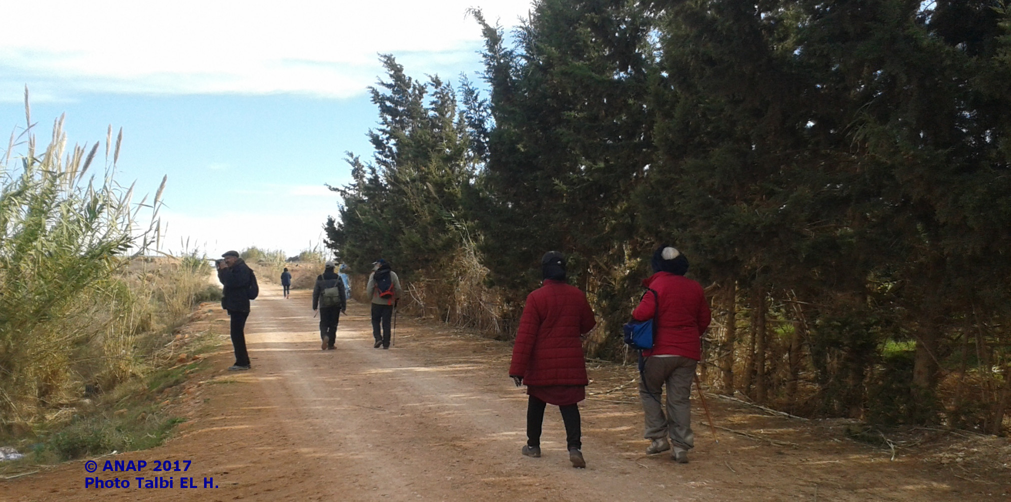 Vers les champs cultiv�s d'Oulad Mansour