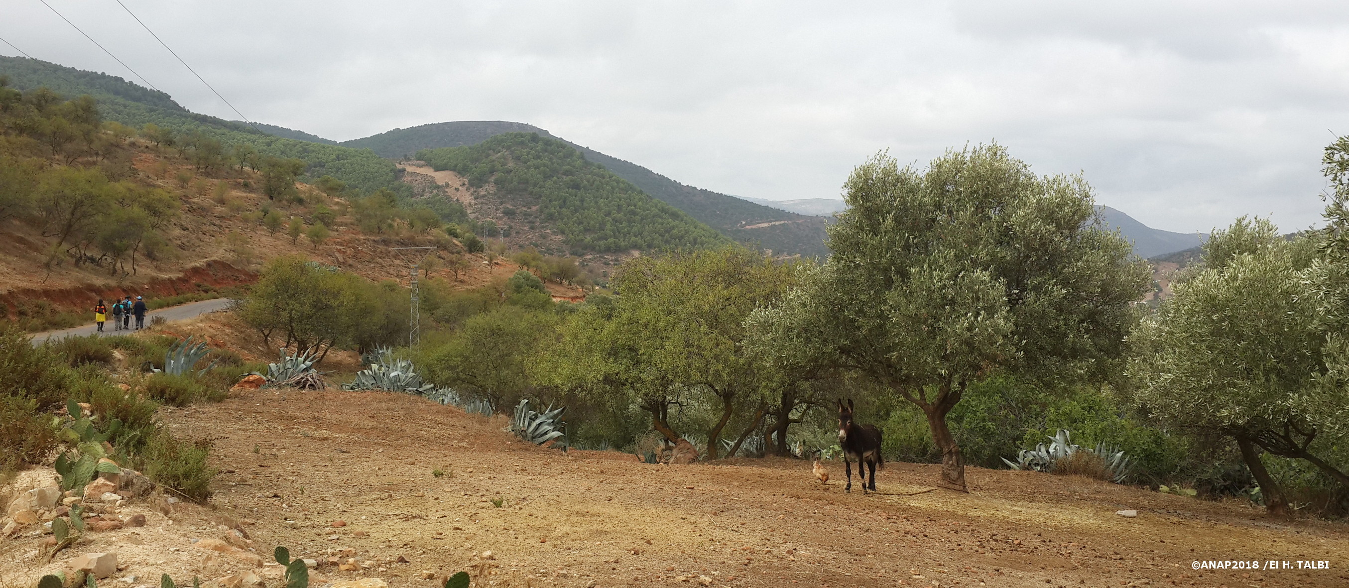 Paysage Beni snassen-Rislane