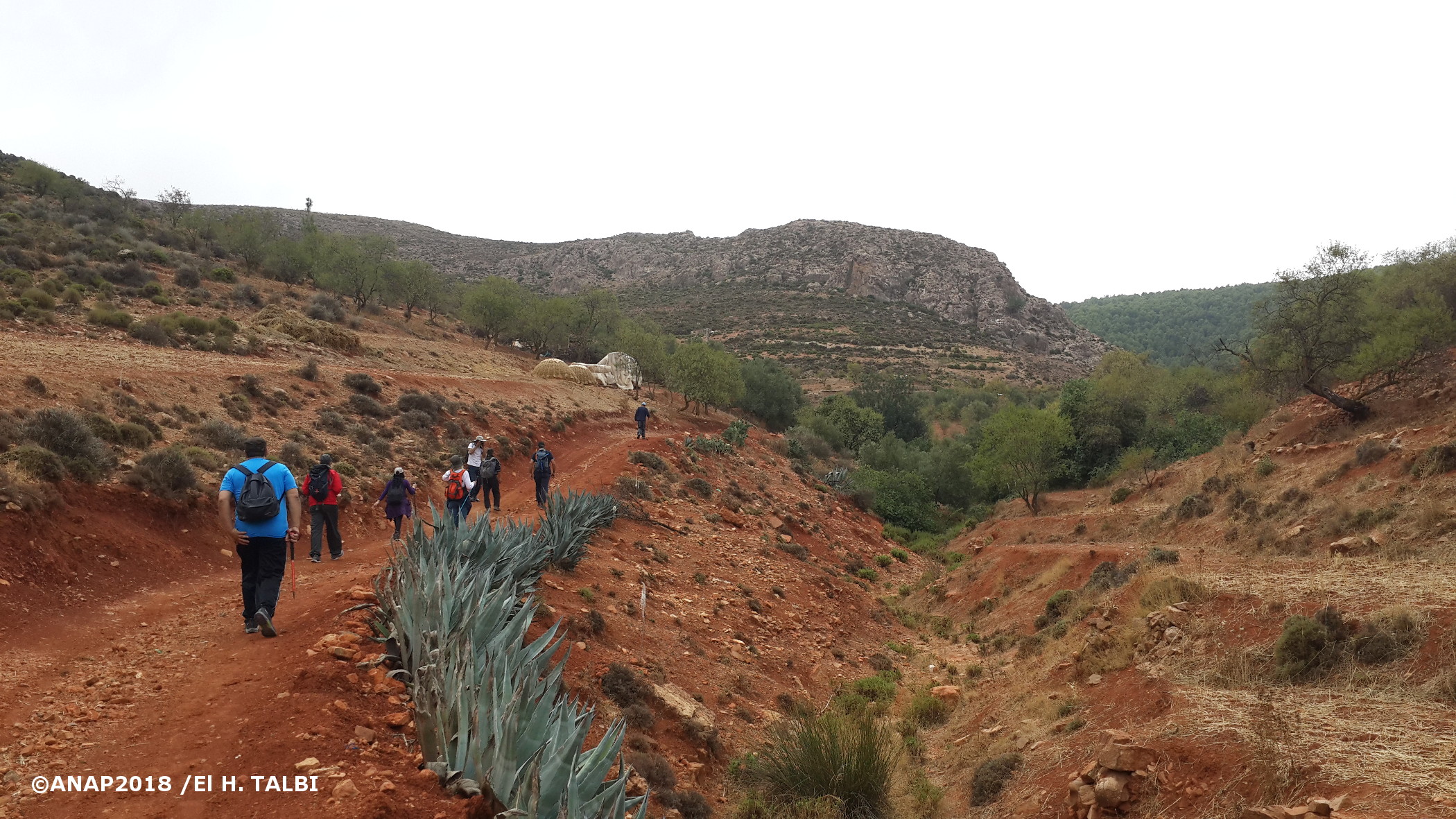 De Sidi Qaddour en direction de l'ouest