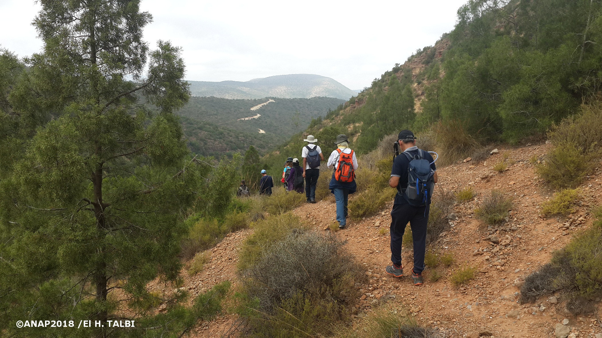 Le sentier des plantes aromatiques