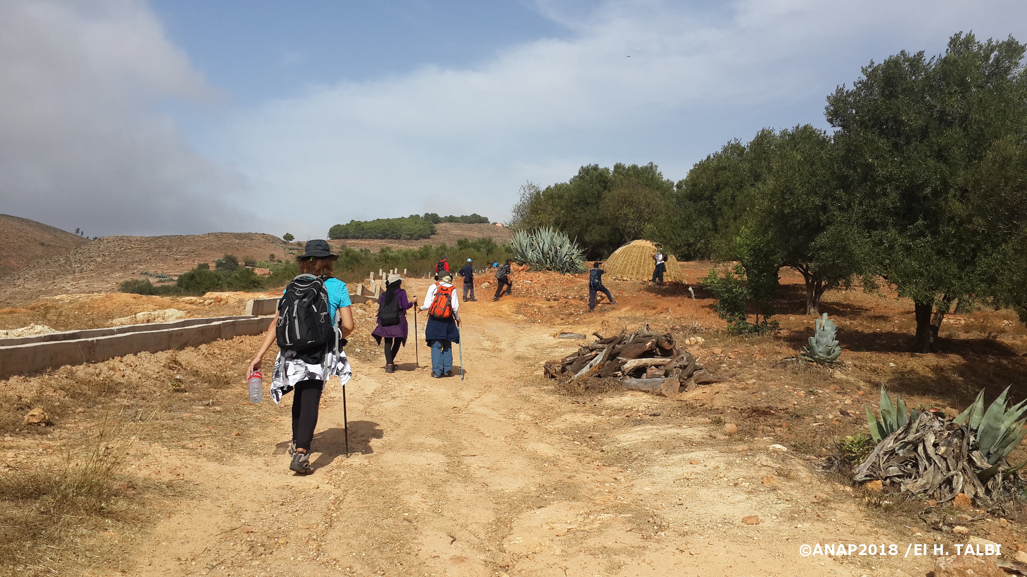 Sur le chemin du retour