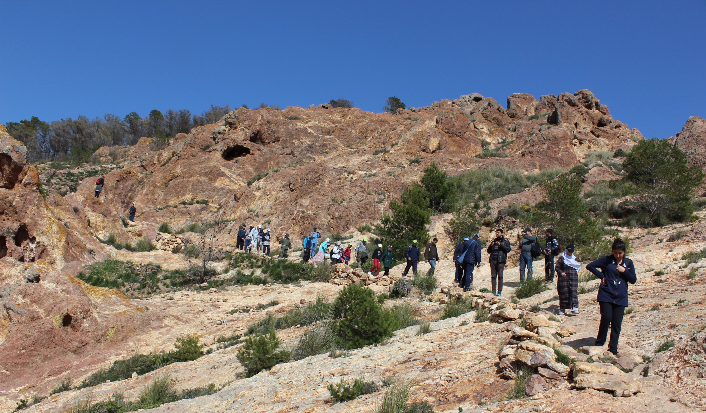 Randonn�e au sein du Gourougou