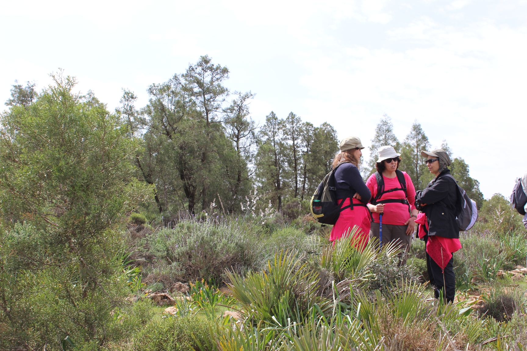 Petite discussion au calme