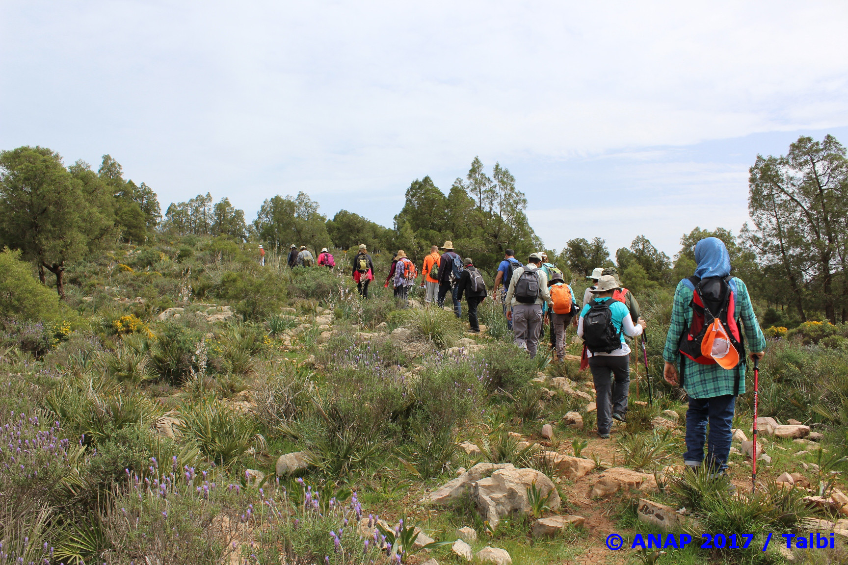 Marche vers Tafoughalt
