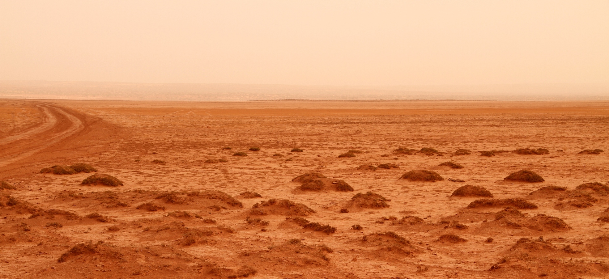 Paysage du Coeur du Tigri