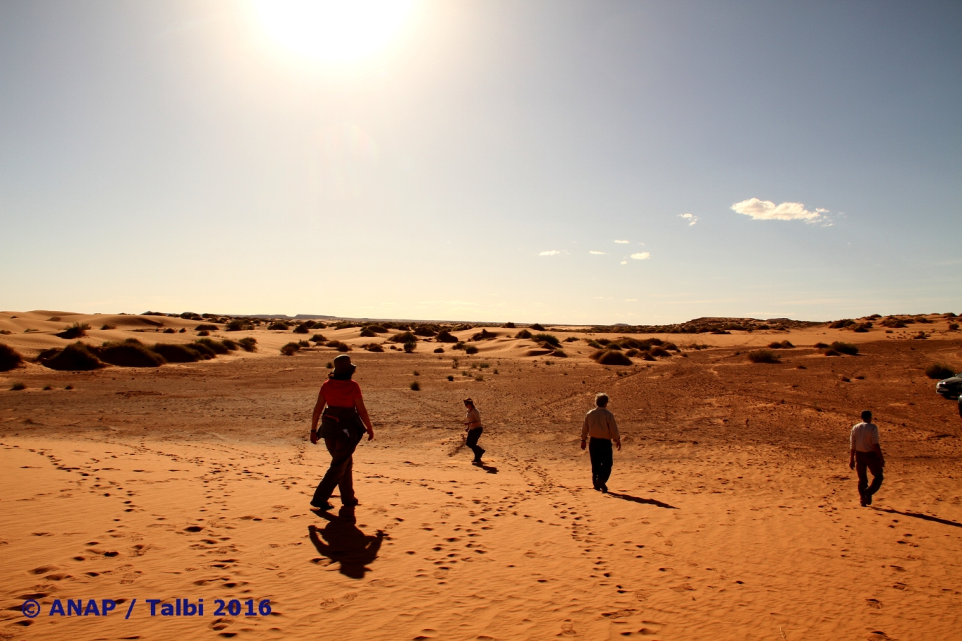 Sur les premi�res dunes 3