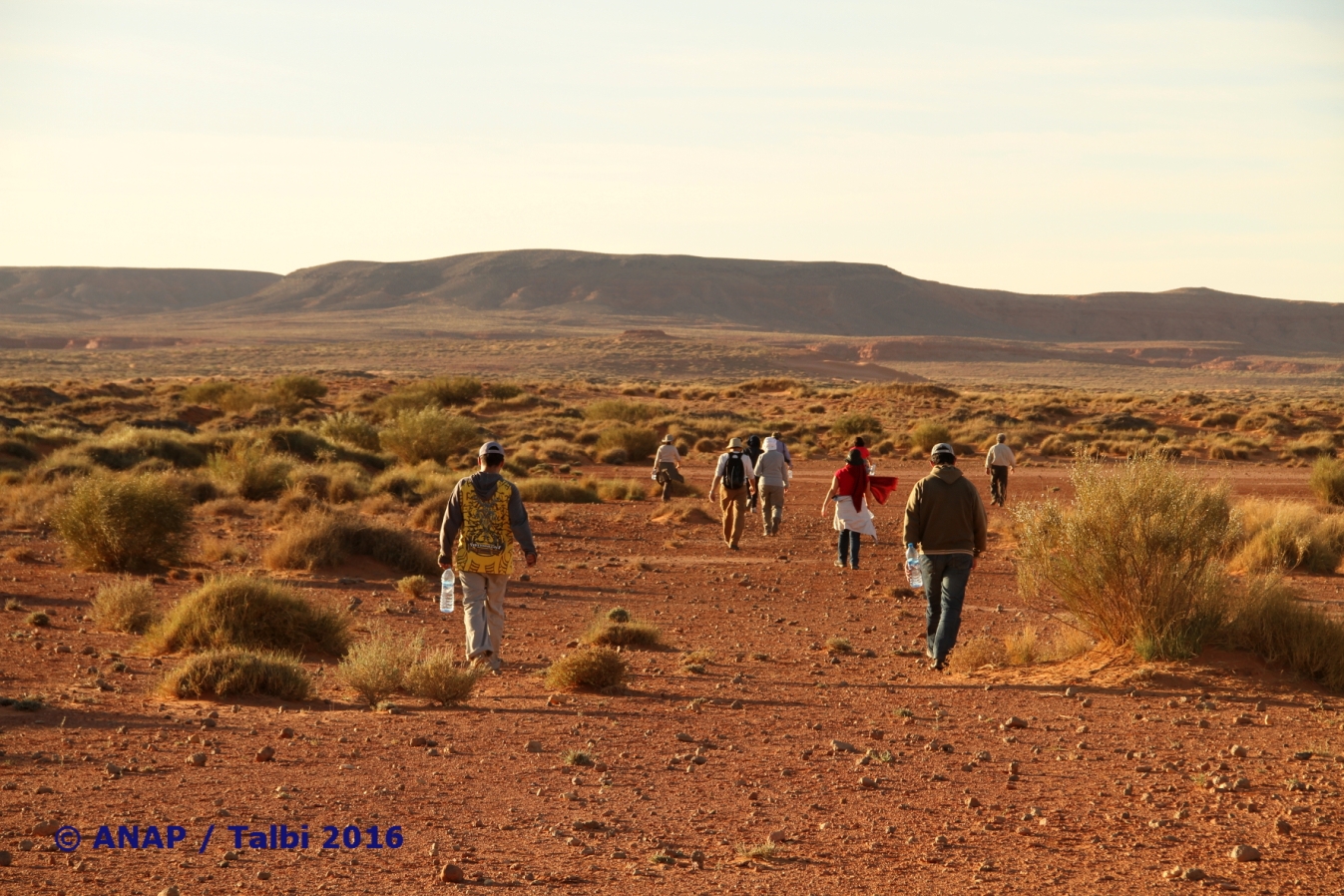 Grands espaces du site