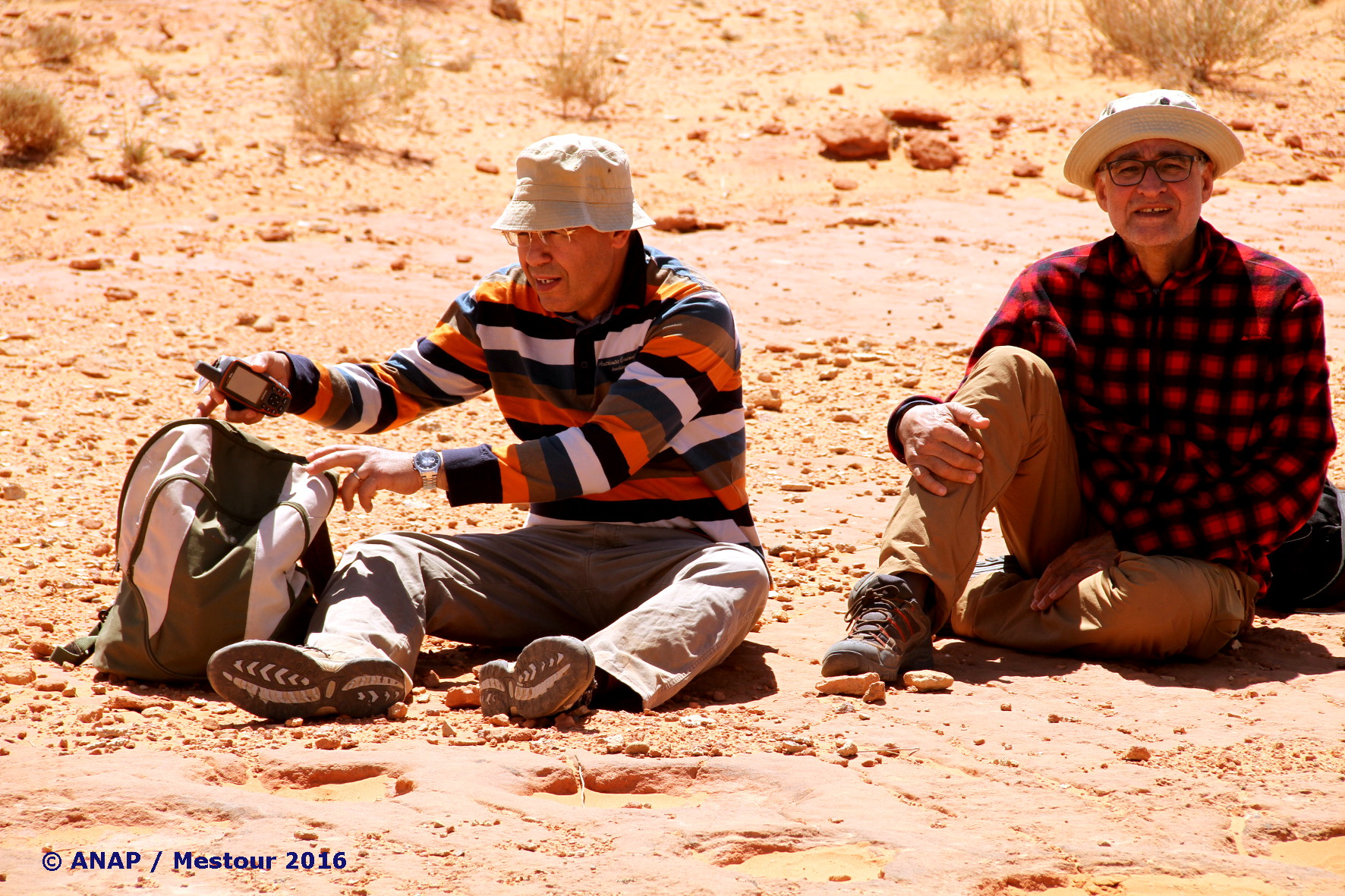 Sur les traces des Dinosaures 2