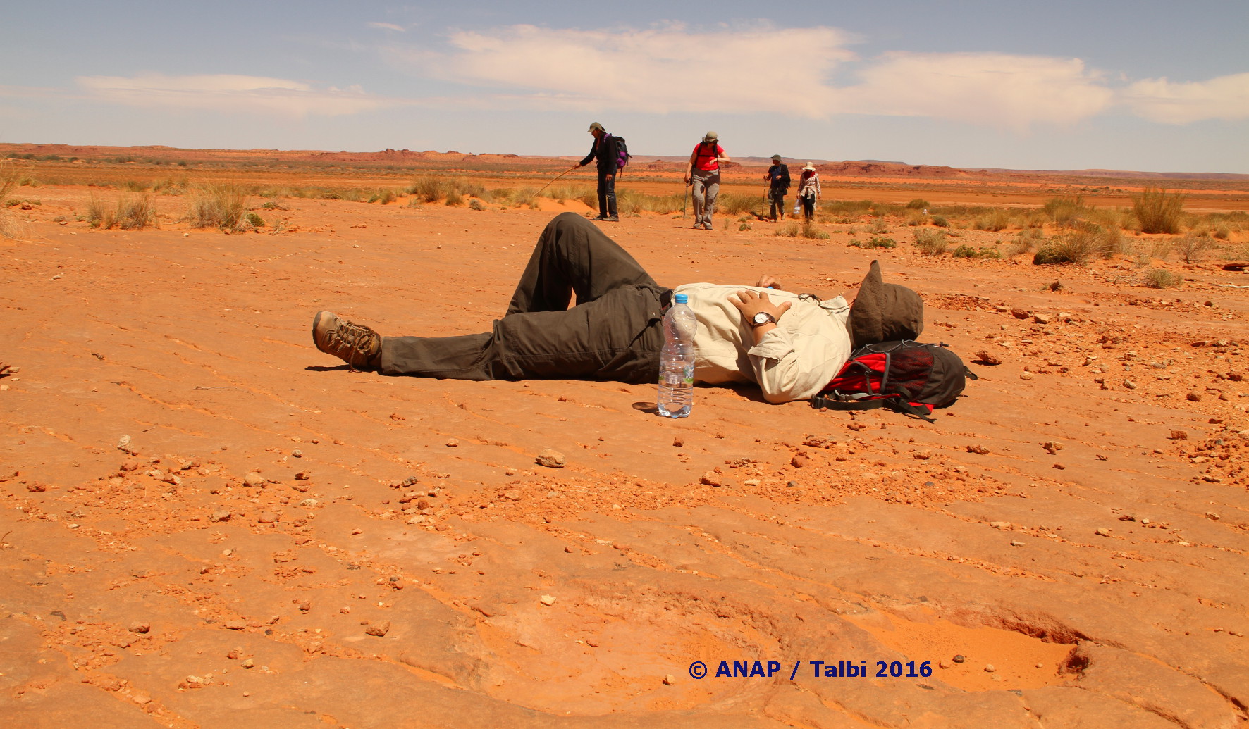 Sur les traces des Dinosaures