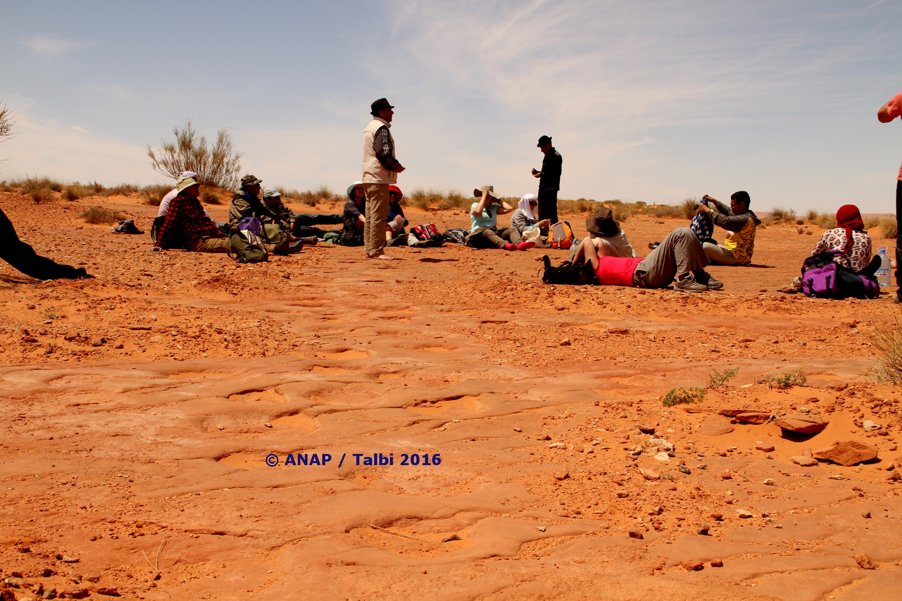 Empreintes des Dinosaures