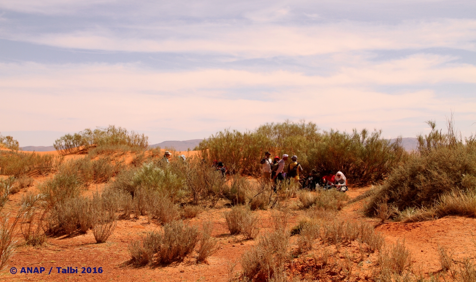 Sculpture du vent 10