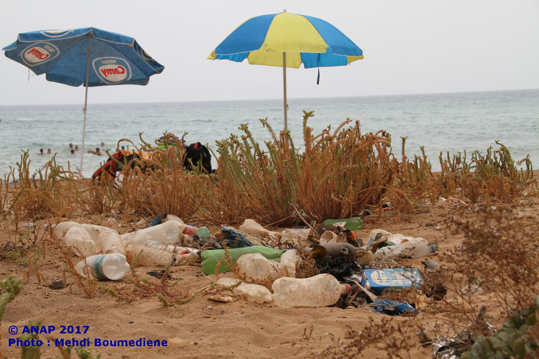 Poubelle au bord de l'eau