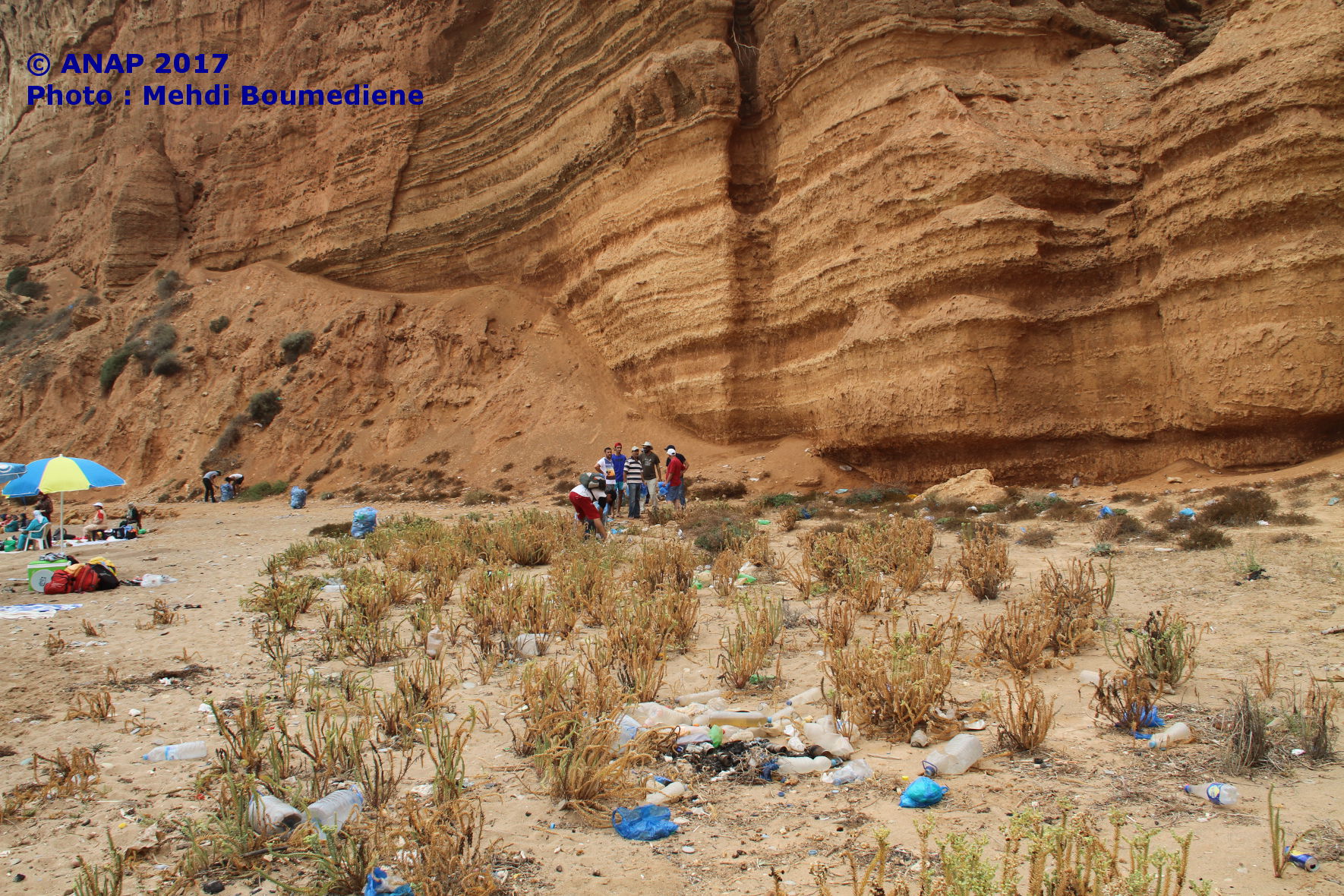 Nettoyage cot� est