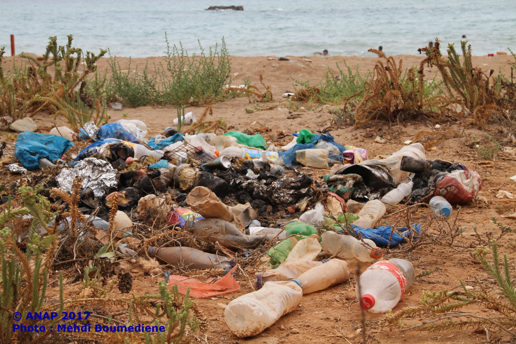 Poubelle au bord de l'eau 2