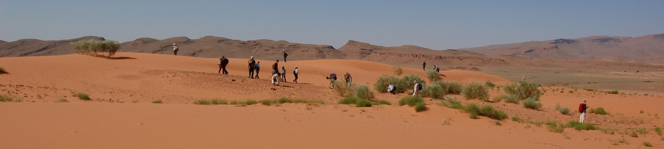 D�sert de l'Oriental