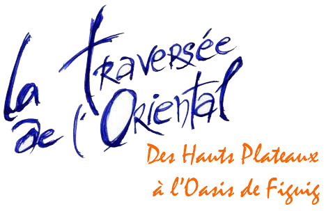 Logo Travers�e 2010