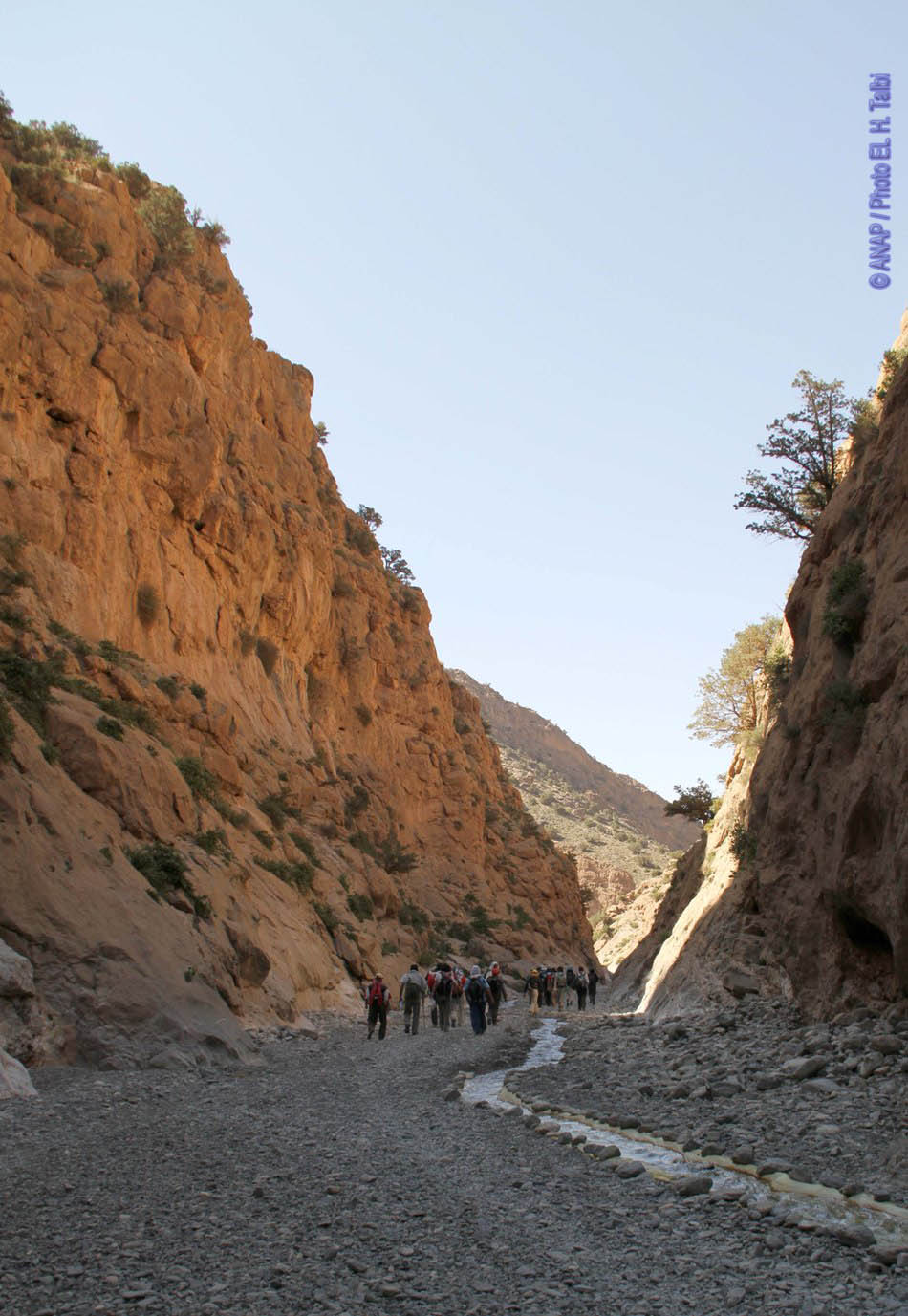 Travers�e 2011 _ dans les gorges vers Tamslamt