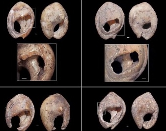 Coquillages Bizmoune