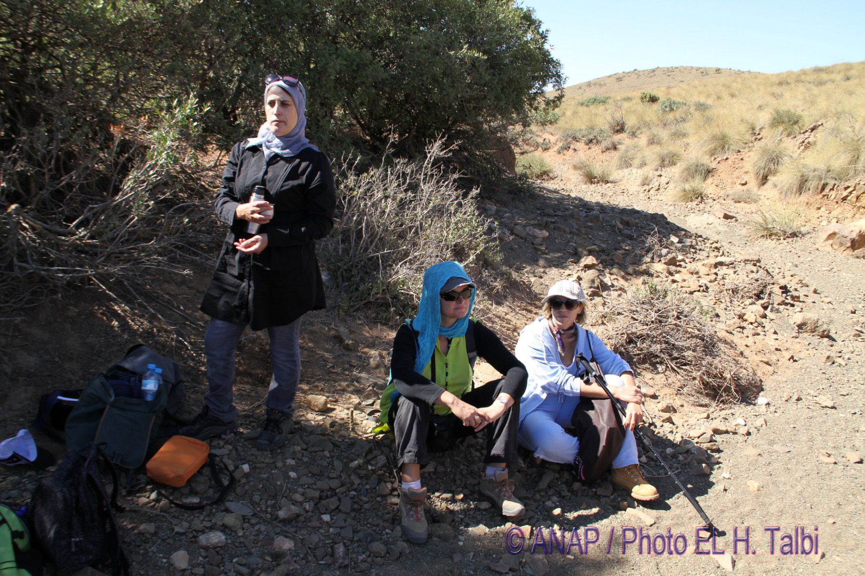 Rando chekhar : pause