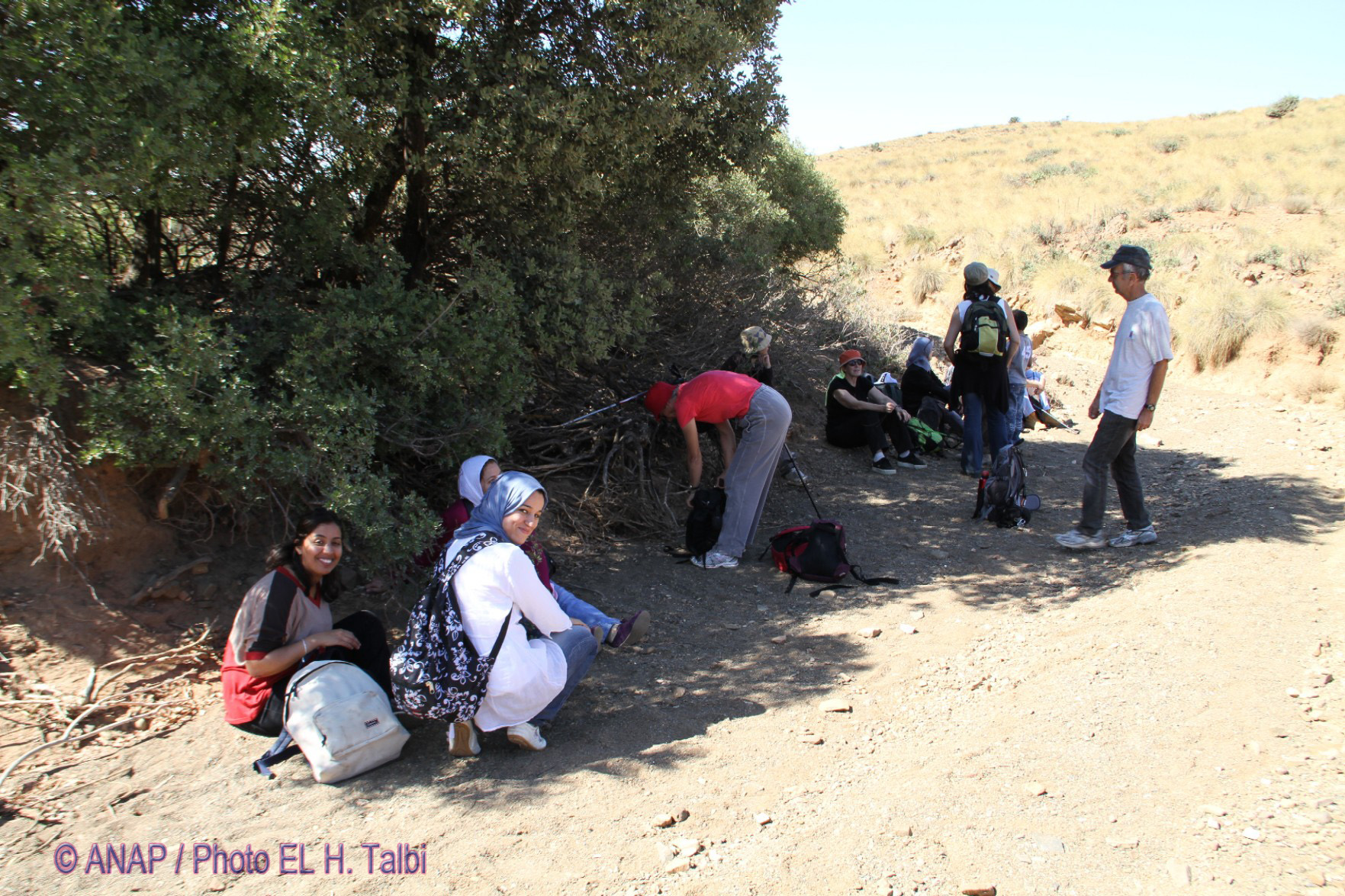 Rando chekhar : pause 1