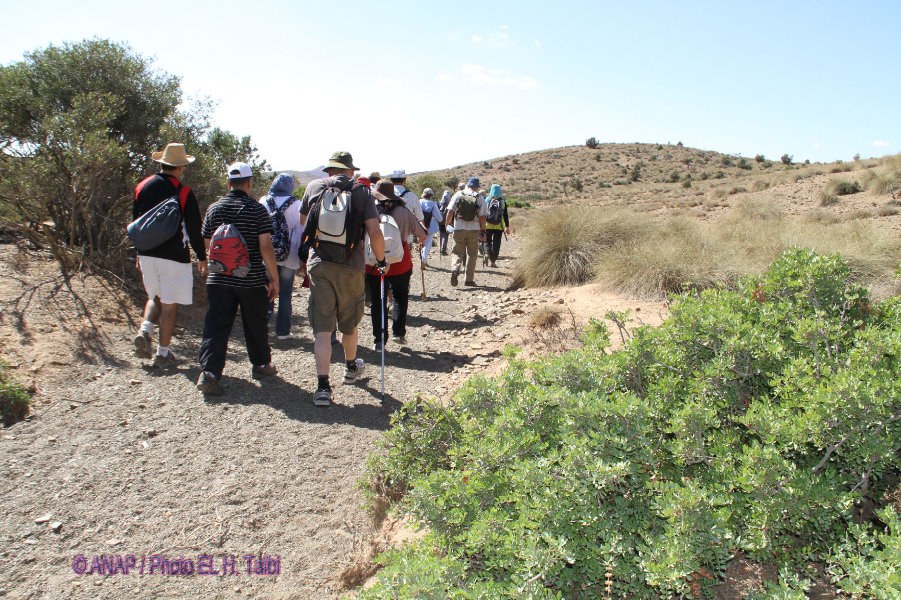 Rando chekhar : reprise