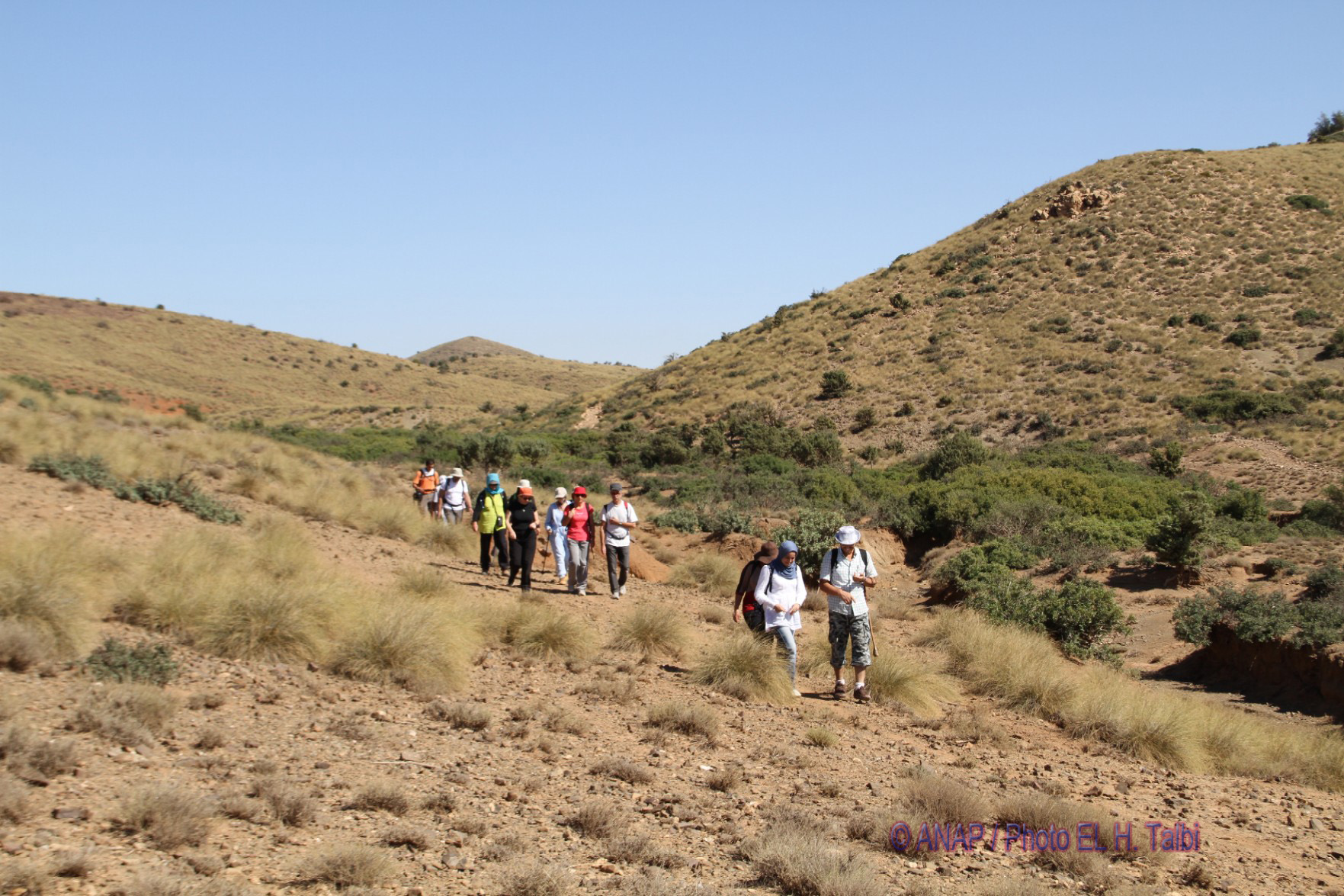 Rando chekhar : reprise 2