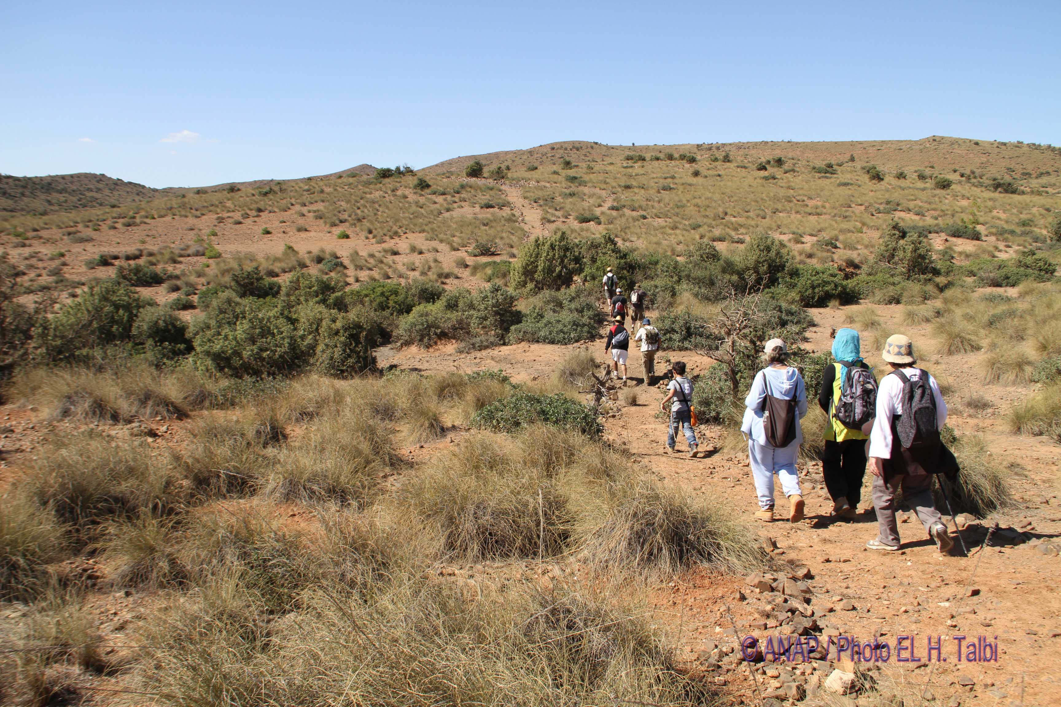 Rando Chekhar : la caravane avance encore