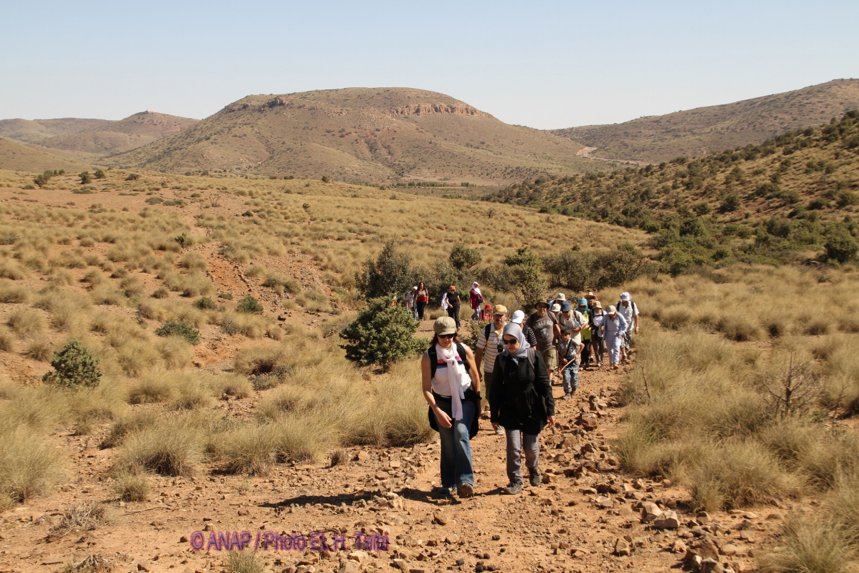 Rando Chekhar : puret� de la nature