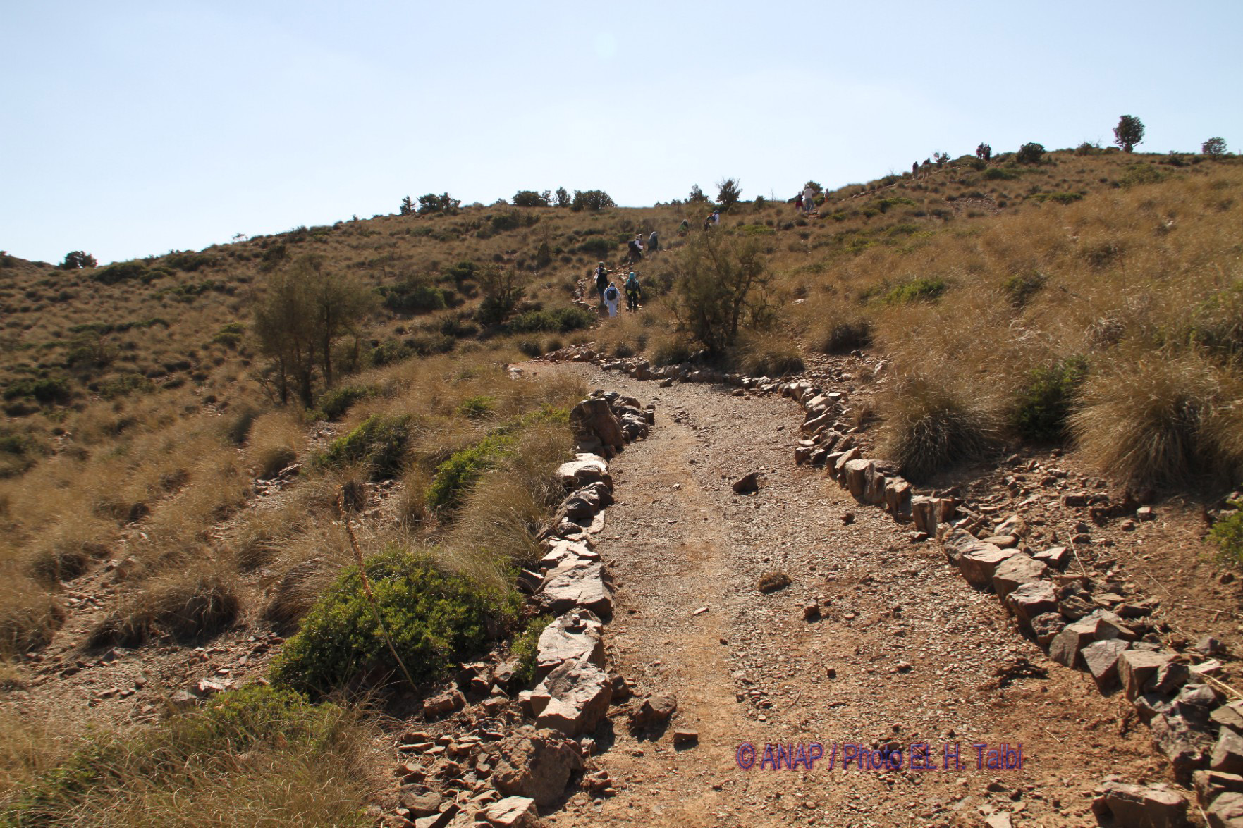 Rando Chekhar : la marche continue