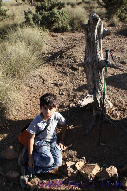 Rando Chekhar : Mohammed, le plus jeune