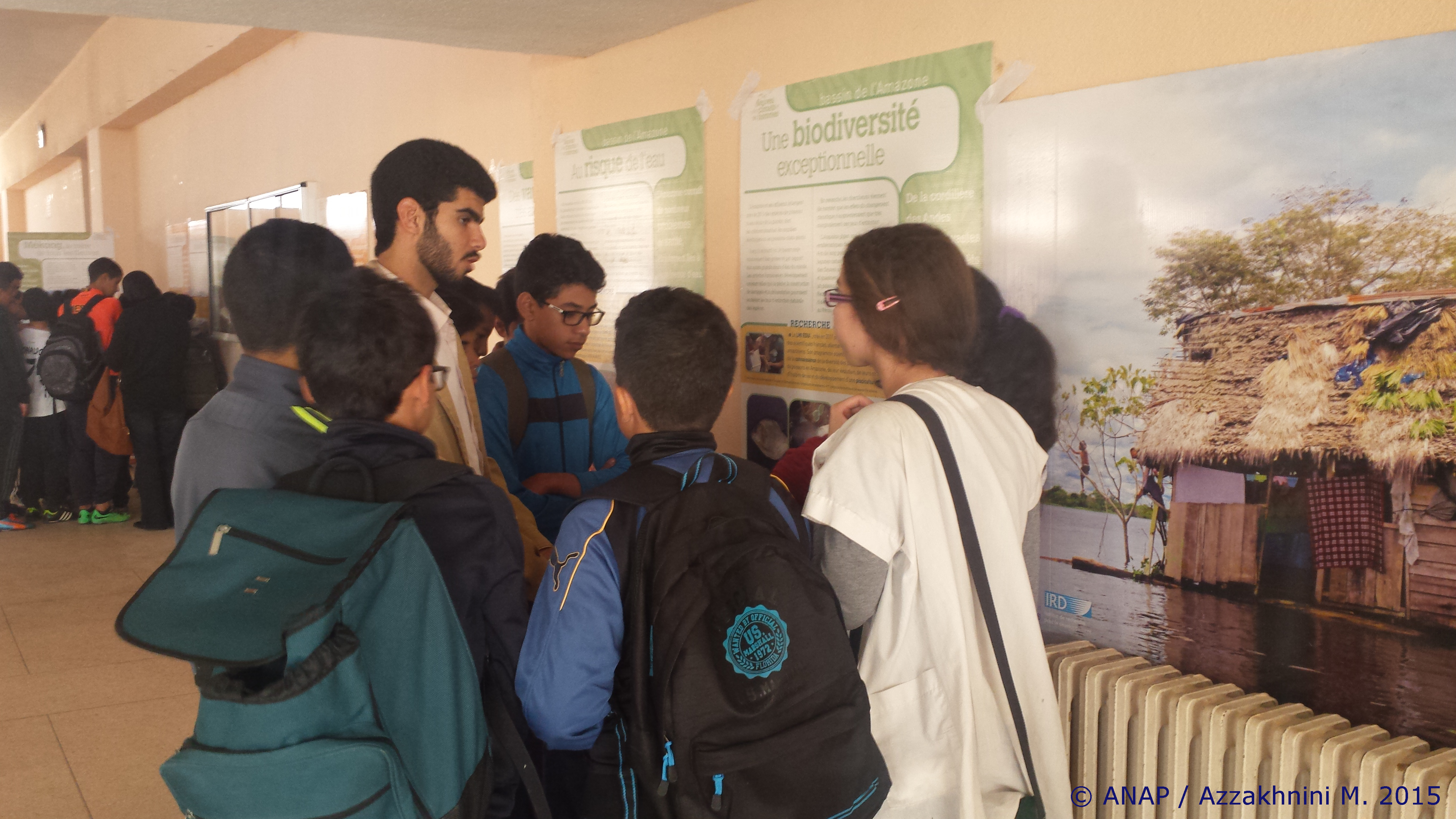 Animation : Club des doctorants