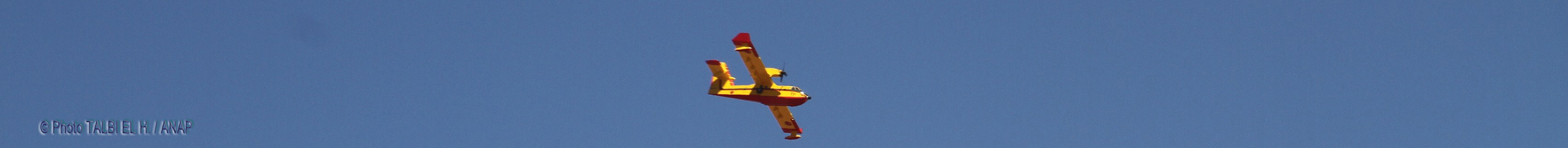 Canadair 00