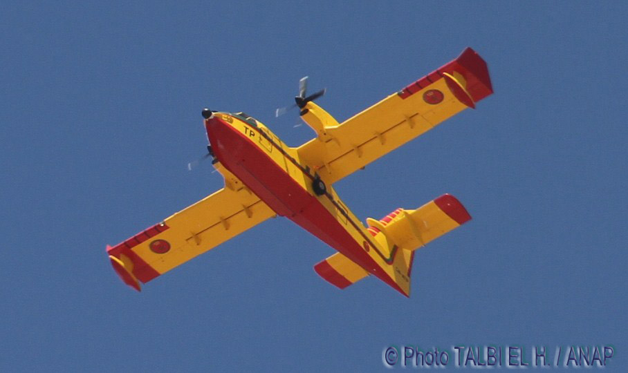 Canadair 6