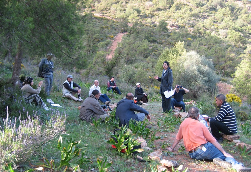 formation : animation des sorties 6