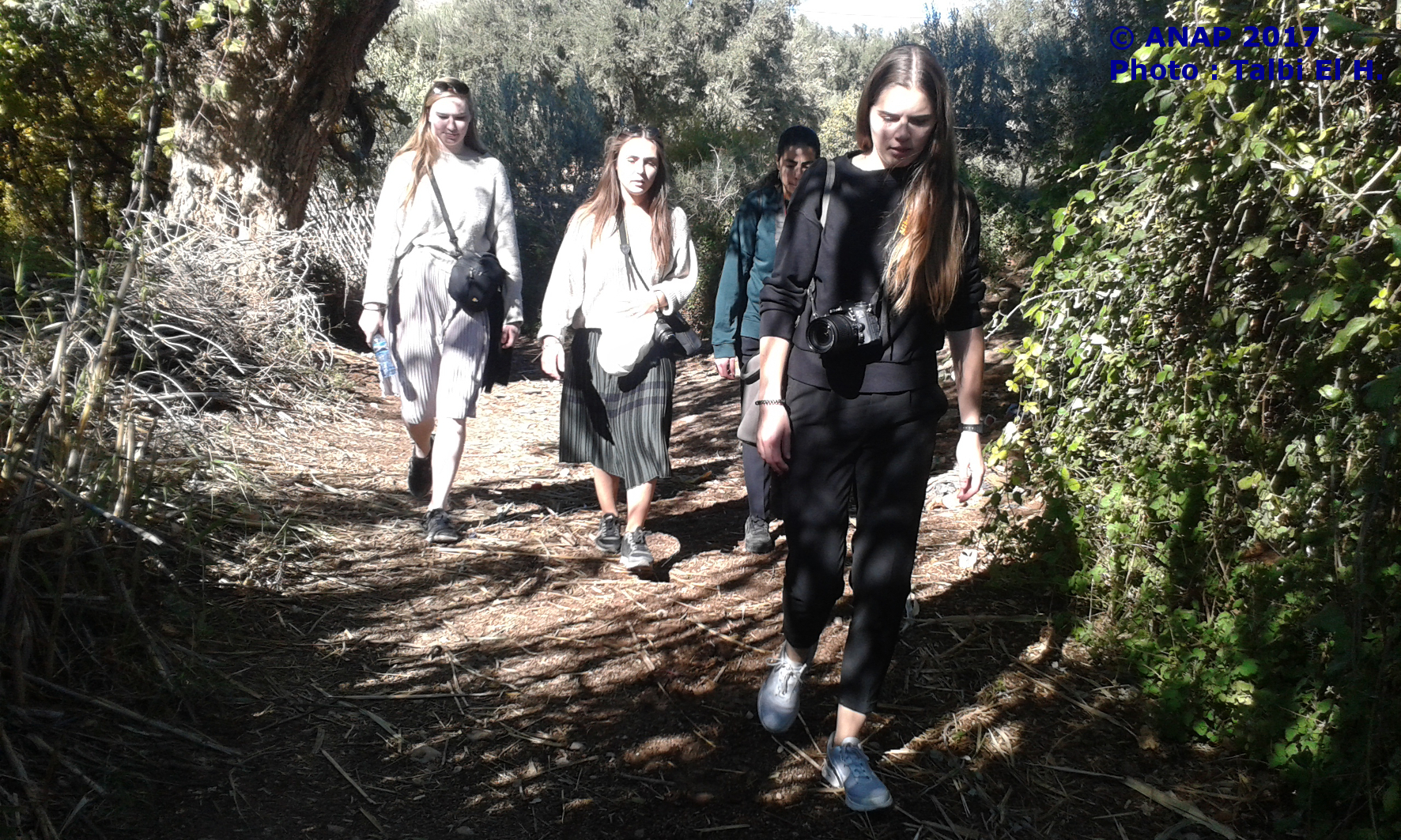 Travers�e des jardins