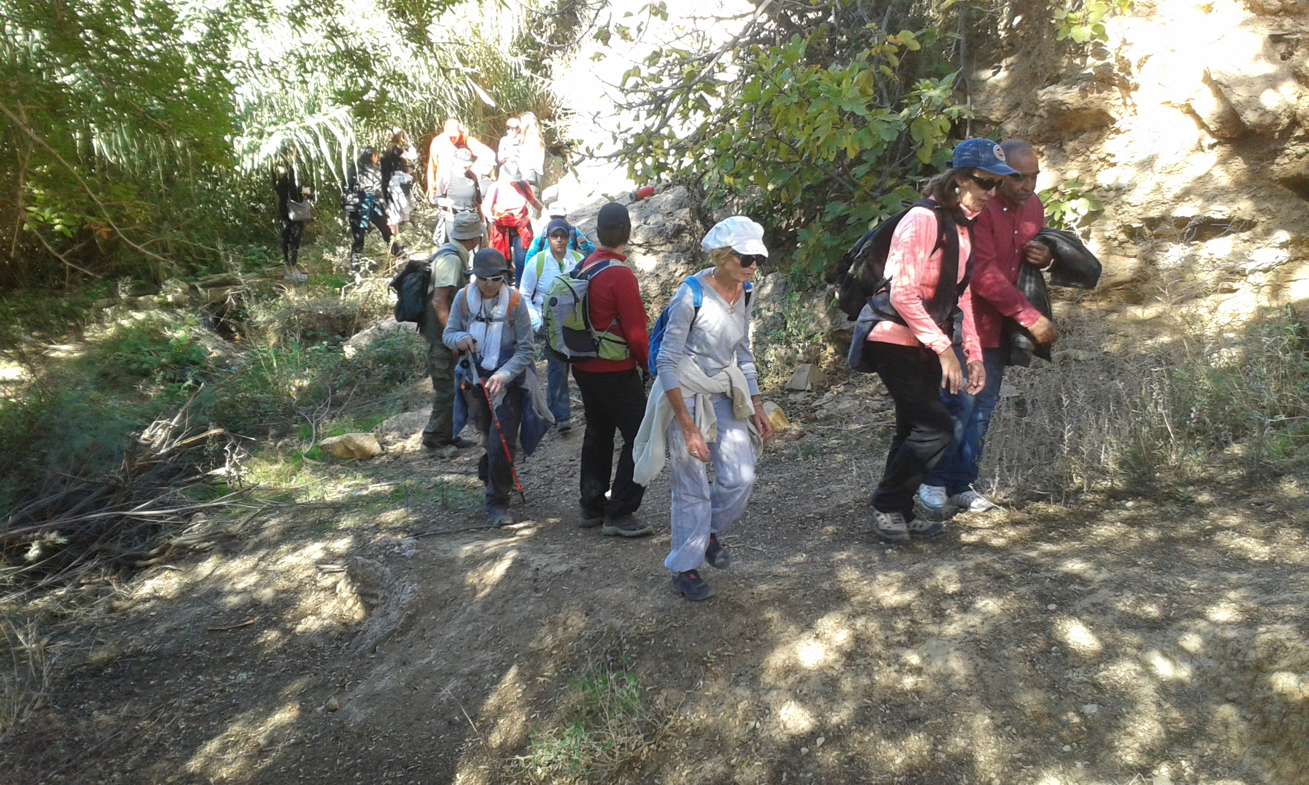 Marches au sein de Gafait