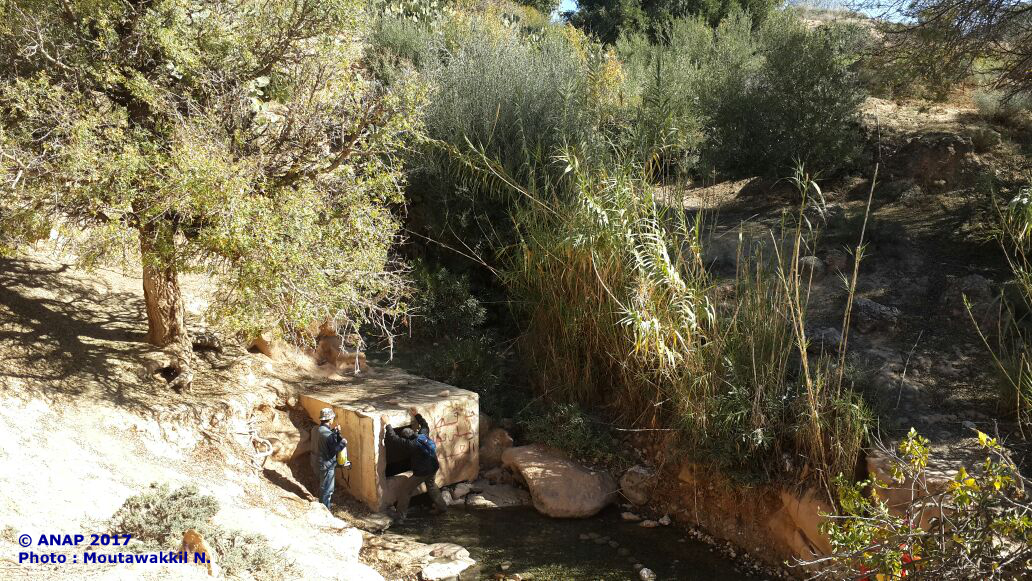 Arr�t � la source Azza