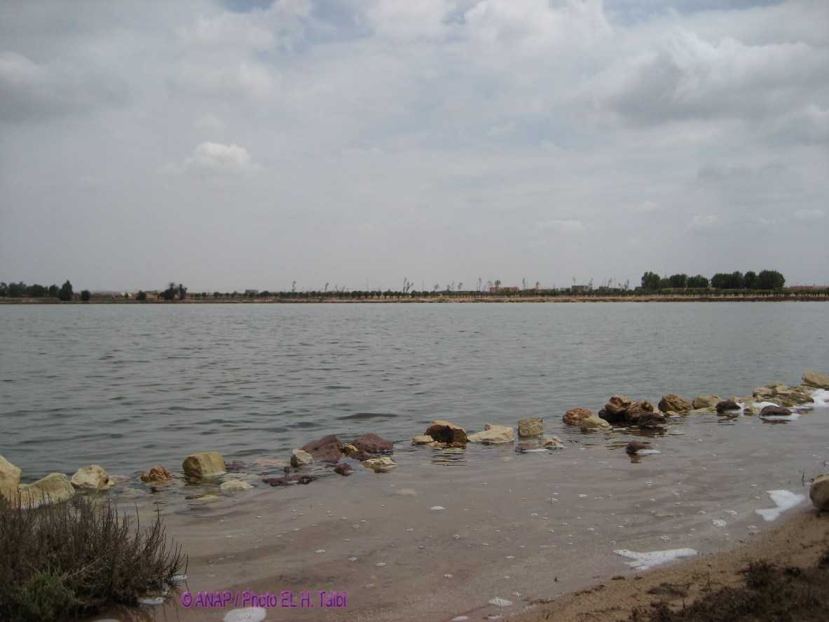 Sebkha Zima 07